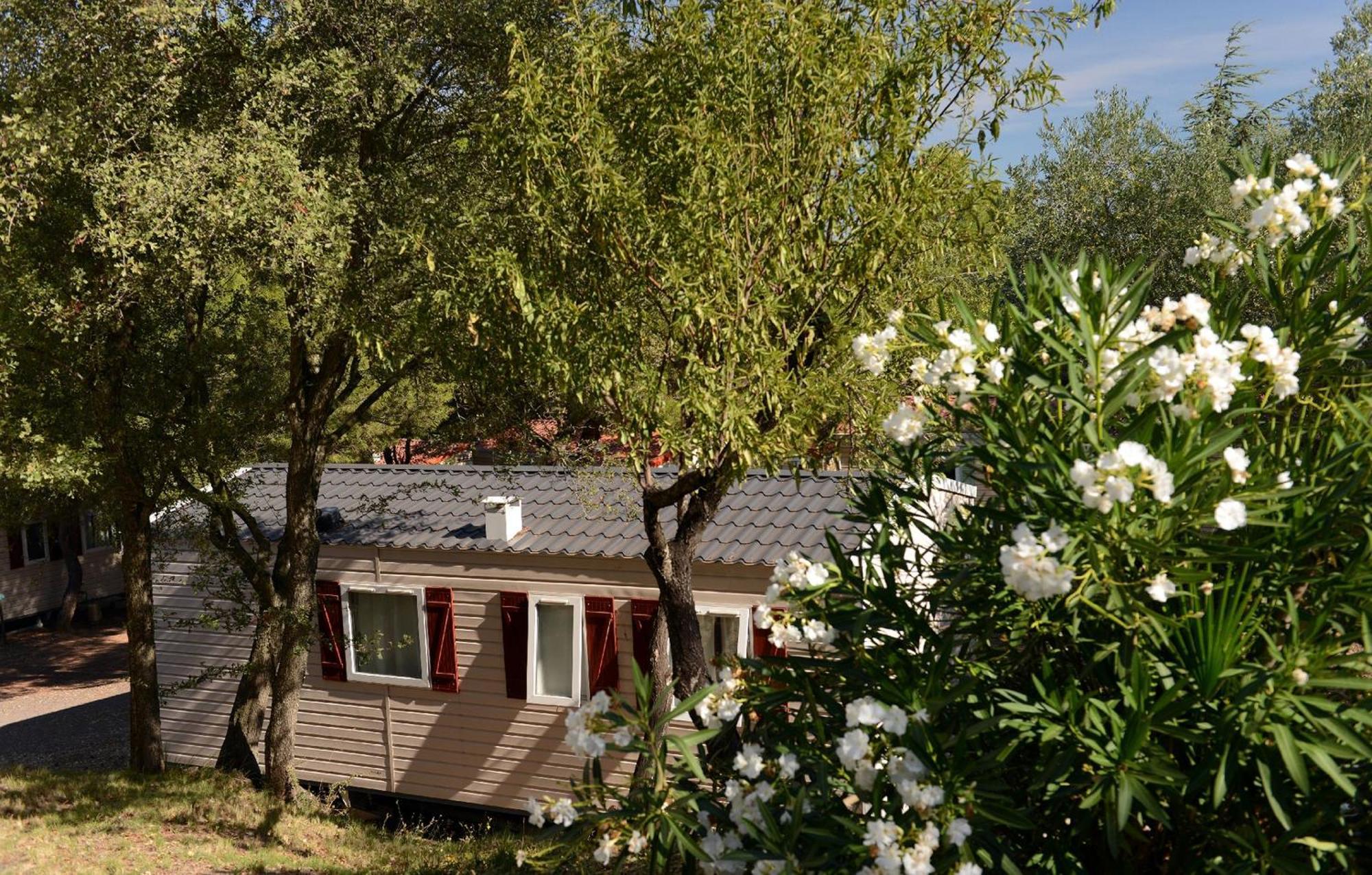 Domaine Residentiel De Plein Air Odalys La Pinede 아그 외부 사진