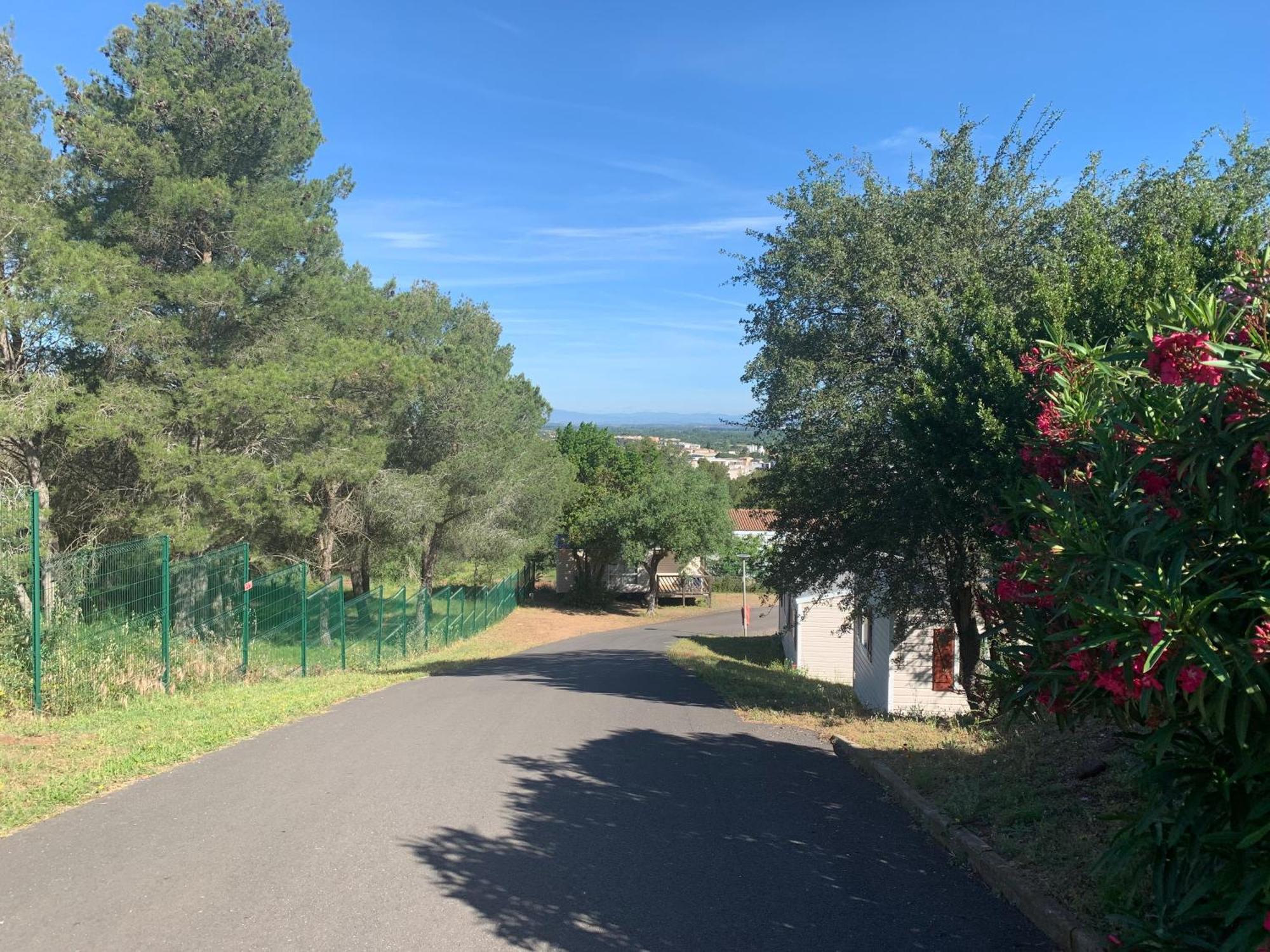 Domaine Residentiel De Plein Air Odalys La Pinede 아그 외부 사진