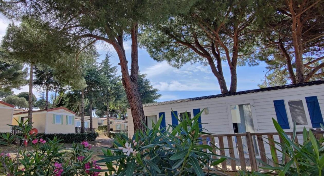Domaine Residentiel De Plein Air Odalys La Pinede 아그 외부 사진