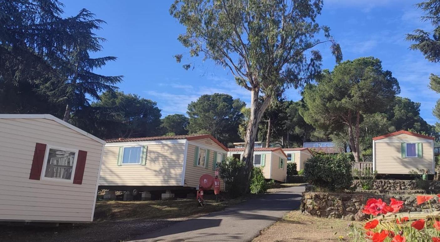Domaine Residentiel De Plein Air Odalys La Pinede 아그 외부 사진