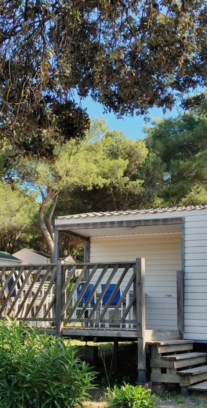 Domaine Residentiel De Plein Air Odalys La Pinede 아그 외부 사진