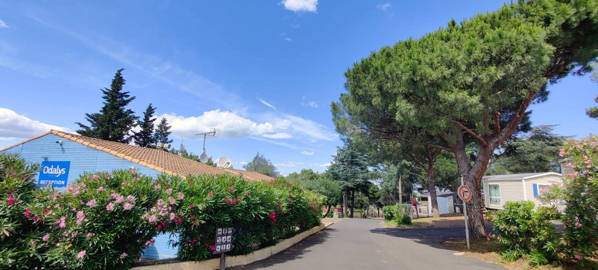 Domaine Residentiel De Plein Air Odalys La Pinede 아그 외부 사진